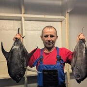 ���������� �����������, ���� ������� ��������, 45 ���, ������������ ��� c�������� ���������