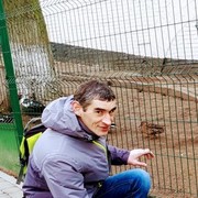 ���������� ����, ���� ������� �������, 43 ����, ������������ ��� ������, ����� � ���������, c�������� ���������