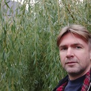 ���������� ������, ���� ������� �������, 50 ���, ������������ ��� ������, ����� � ���������, c�������� ���������