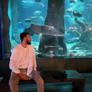 ���������� ������, ���� ������� ���, 31 ���, ������������ ��� ������, ����� � ���������