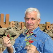 ���������� ���������, ������� ������, 70