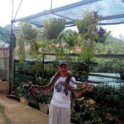  ,   , 45 ,   