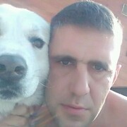 ���������� �����-���������, ���� ������� ����, 40 ���, ������������ ��� ������, ����� � ���������