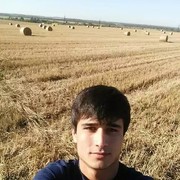  ,   SHOKHIN, 29 ,   ,   , c 