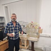 ���������� ������, ���� ������� Talex������, 54 ����, ������������ ��� ������, ����� � ���������, c�������� ���������, ���������