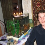 ���������� �������, ���� ������� Cerg, 49 ���, ������������ ��� ������, ����� � ���������