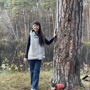 ���������� ����������, ���� ������� ������, 38 ���, ������������ 