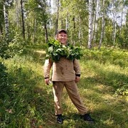 ���������� ������, ���� ������� �������, 37 ���, ������������ ��� ������, ����� � ���������