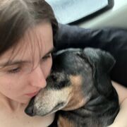 ���������� �����, ���� ������� �����, 22 ����, ������������ ��� ������, ����� � ���������, c�������� ���������