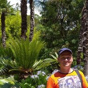  ,   , 44 ,   c 