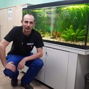 ���������� ���������, ���� ������� �����, 34 ����, ������������ ��� ������, ����� � ���������, c�������� ���������