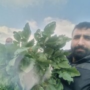 ���������� ���������, ���� ������� MURAT, 40 ���, ������������ ��� ������, ����� � ���������