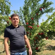 ���������� �����-���������, ���� ������� Seryozha, 40 ���, ������������ ��� ������, ����� � ���������