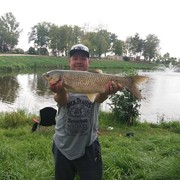 ���������� ����, ���� ������� ���������, 47 ���, ������������ ��� ������, ����� � ���������, c�������� ���������