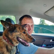 ���������� ��������, ���� ������� ������, 41 ���, ������������ ��� ������, ����� � ���������