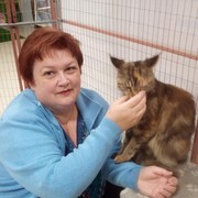 ���������� �����, ���� ������� �������, 56 ���, ������������ ��� ������, ����� � ���������, c�������� ���������