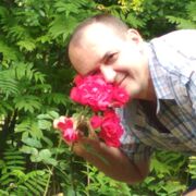 ���������� �������, ���� ������� ������, 50 ���, ������������ ��� ������, ����� � ���������, c�������� ���������