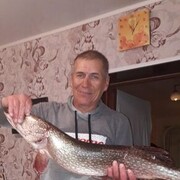 ���������� ���������� �����, ���� ������� �����, 54 ����, ������������ ��� ������, ����� � ���������, c�������� ���������