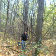 ���������� �������, ���� ������� �����, 38 ���, ������������ 