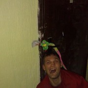 ���������� ����, ���� ������� �����, 44 ����, ������������ ��� ������, ����� � ���������, c�������� ���������