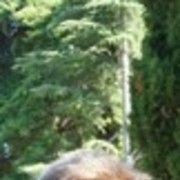  --,   , 53 ,   ,   , c 