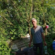  ,   , 53 ,   ,   