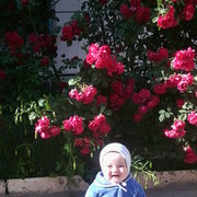 ���������� ����-���������, ���� ������� Born, 48 ���, ������������ ��� ������