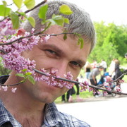 ���������� ������ ���, ���� ������� ����, 51 ���, ������������ ��� ������, ����� � ���������, c�������� ���������