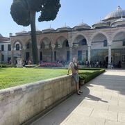 ���������� �����-���������, ���� ������� �������, 40 ���, ������������ ��� ������, ����� � ���������, c�������� ���������, ���������