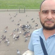  ,   , 40 ,   ,   