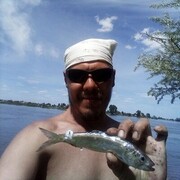 ���������� ���������, ���� ������� Roman, 42 ����, ������������ ��� ������, ����� � ���������, c�������� ���������, ���������