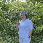  ,   , 38 ,     , c , 