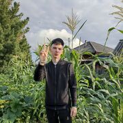 ���������� �����������, ���� ������� ϸ��, 29 ���, ������������ ��� ������, c�������� ���������