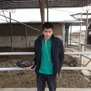  ,   , 36 ,   