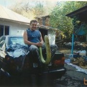 ���������� ������, ���� ������� ANDREINO, 43 ����, ������������ ��� ����� � ���������, c�������� ���������