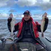 ���������� �����-���������, ���� ������� ������, 36 ���, ������������ ��� ������, ����� � ���������, c�������� ���������