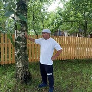  ,   , 51 ,     , c 