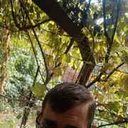  ,   , 32 ,     , c 