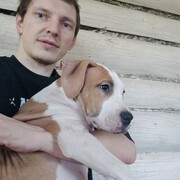 ���������� ������, ���� ������� ������, 31 ���, ������������ ��� ������, ����� � ���������