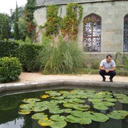 ���������� ������ �����, ���� ������� ���, 40 ���, ������������ ��� ������, ����� � ���������, c�������� ���������