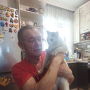  ,   , 65 ,   ,   