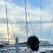 ���������� Harcourt, ���� ������� Castro, 25 ���, ������������ ��� ����� � ���������, c�������� ���������, ���������