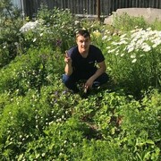 ���������� ����-���������, ���� ������� ������, 29 ���, ������������ ��� ������, ����� � ���������