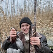 ���������� ����������, ���� ������� ����, 30 ���, ������������ ��� ������, ����� � ���������, c�������� ���������