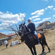  ,   , 37 ,     , c , 