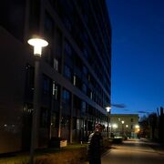 ���������� �����-���������, ���� ����� ����, 21 ���, ������������ ��� ������, ����� � ���������