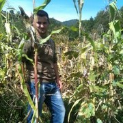  ,   Paata, 36 ,   ,   , c 