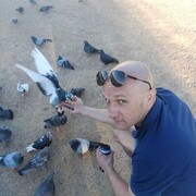 ���������� �����-���������, ���� ������� ���������, 39 ���, ������������ ��� ������, ����� � ���������