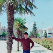 ���������� �����, ���� ������� �������, 38 ���, ������������ ��� ������, ����� � ���������, c�������� ���������