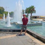  -,   , 44 ,   ,   